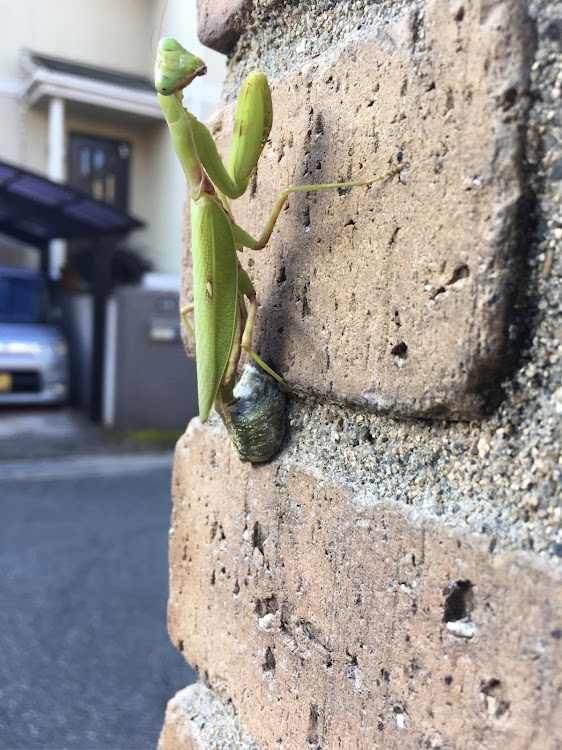 の投稿画像20枚目