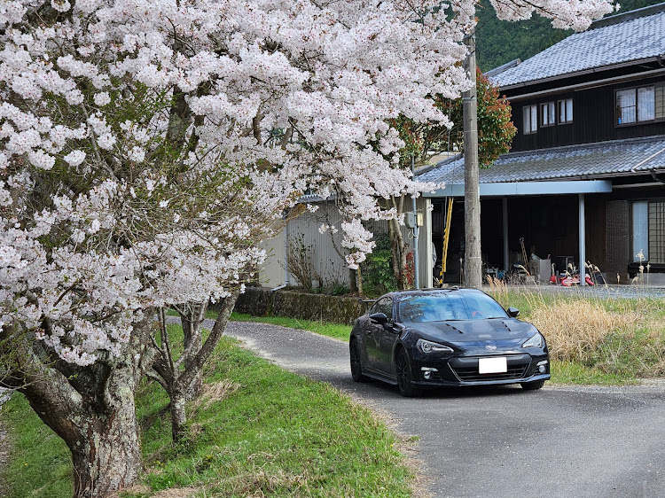 BRZのサクラと愛車に関するカスタム事例の投稿画像4枚目