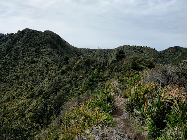 Mount Karioi Summit Track