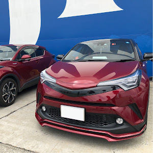 C-HR ZYX10