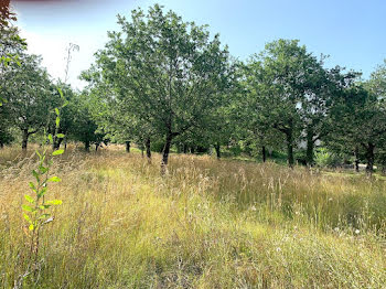 terrain à Cahors (46)