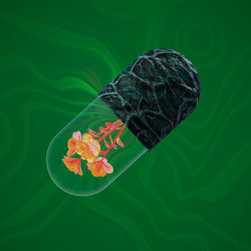 BYOPILL 1362