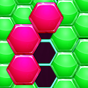 Hexa Puzzle Block