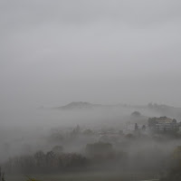 la nebbia agli irti colli di 