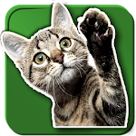 Cover Image of Télécharger WASticker Chats 1.3 APK