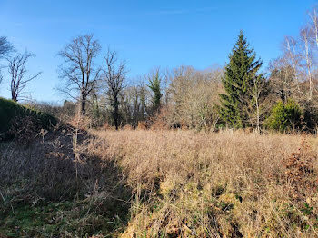 terrain à Royères (87)