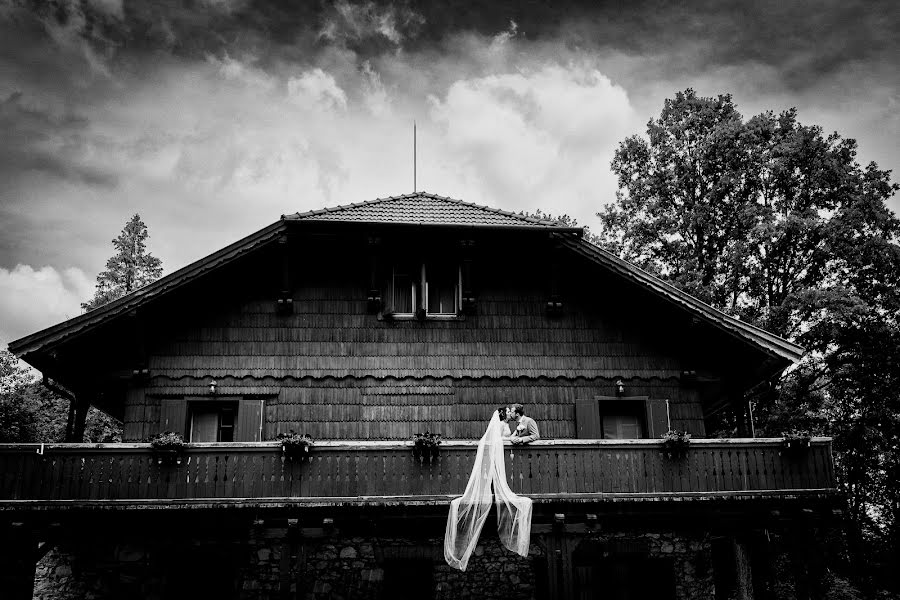 Wedding photographer József Márk Losonczi (losonczi). Photo of 6 September 2023