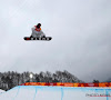 L'ambition de Shaun White