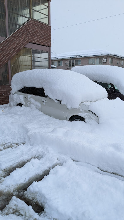 カローラフィールダーの雪とコラボ・雪・秋田に関するカスタム事例の投稿画像1枚目