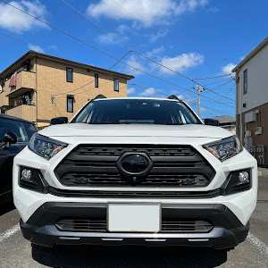 RAV4 MXAA54