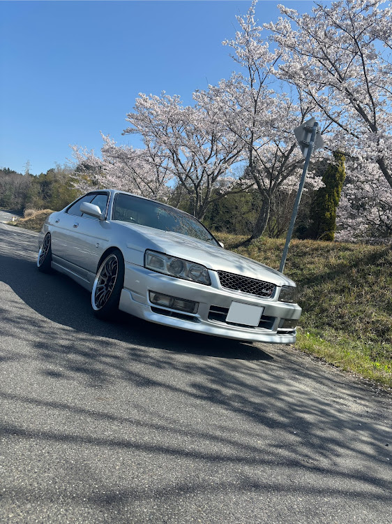 ローレルの桜コラボ・桜と愛車・ローレルC35に関するカスタム事例の投稿画像1枚目