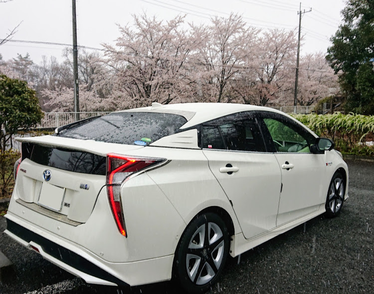 プリウスのプリウスのある生活・車好きと繋がりたい・雪☃・緊急事態宣言・雪と愛車に関するカスタム事例の投稿画像2枚目