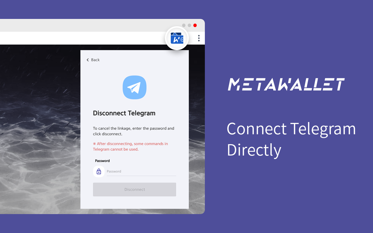 MetaWallet Preview image 5