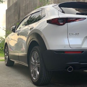 CX-30 DM8P