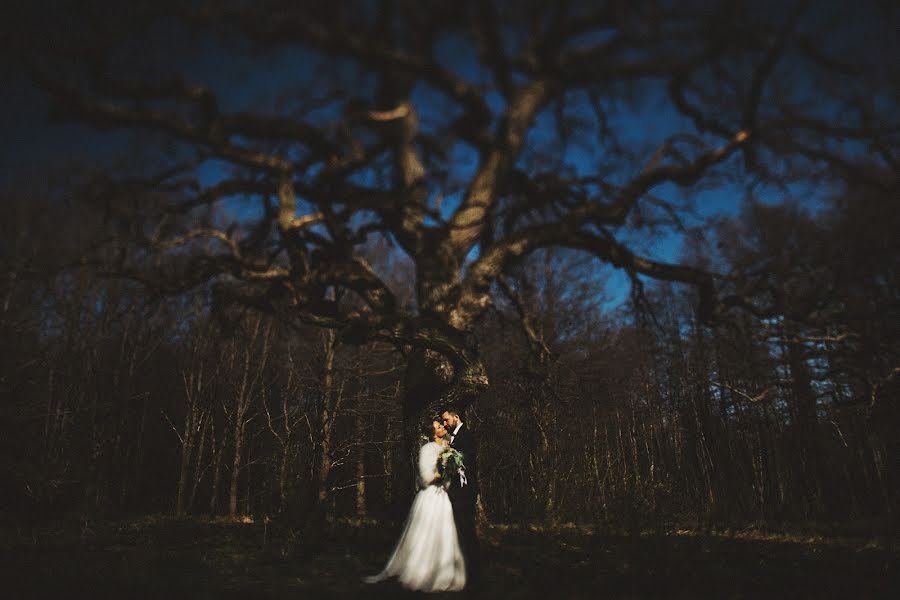 Fotógrafo de casamento Maksim Dubovik (acidmax). Foto de 14 de maio 2017