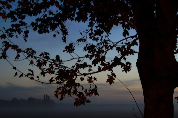 Nebbia d'Autunno di abi313