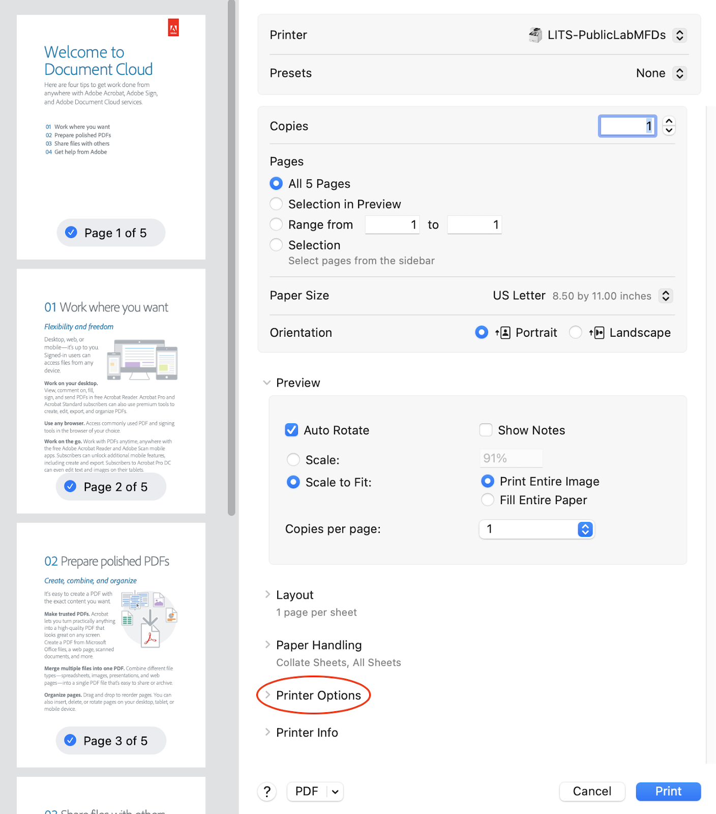 Preview print screen open with printer options selected