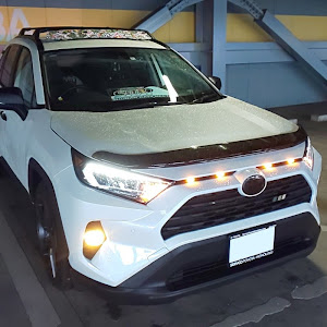 RAV4 AXAH52