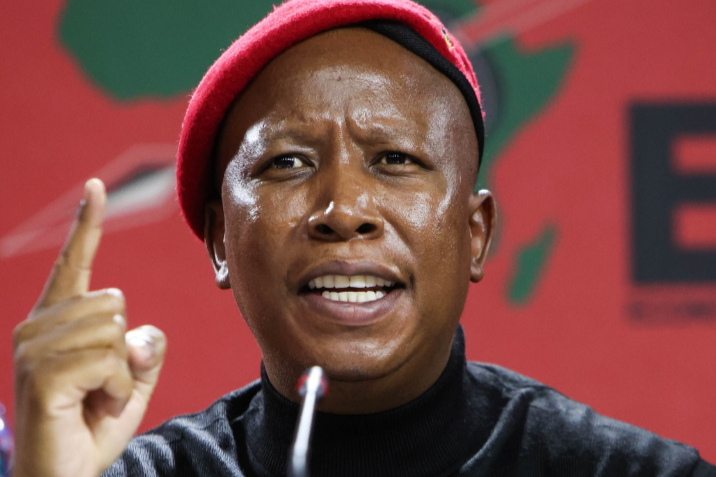 EFF leader Julius Malema. File photo.