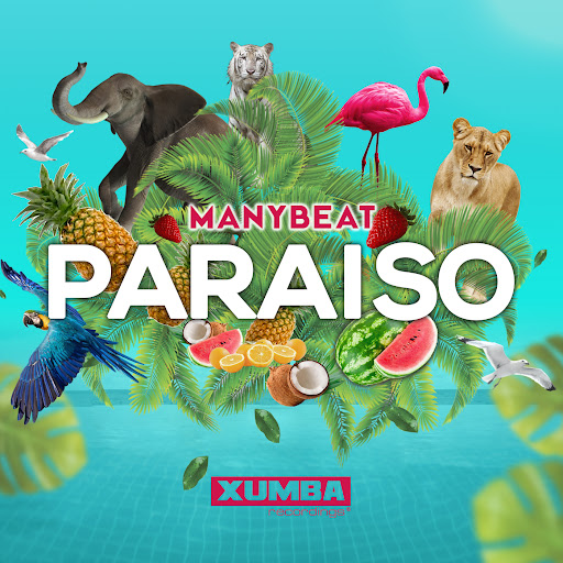 Paraiso Youtube Music