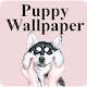 Download Puppy Wallpaper For PC Windows and Mac 1.0