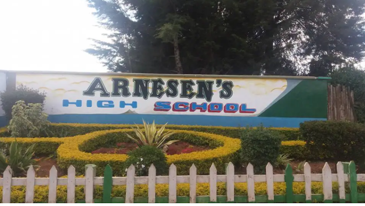 Arnesen's High School.