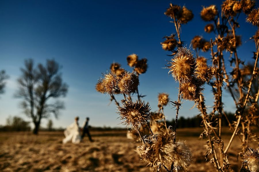 Bryllupsfotograf Vadim Dorofeev (dorof70). Bilde av 25 november 2015