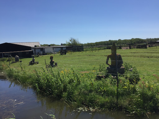 Statue Garden