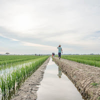 Repubblica dell'Unione del Myanmar di 