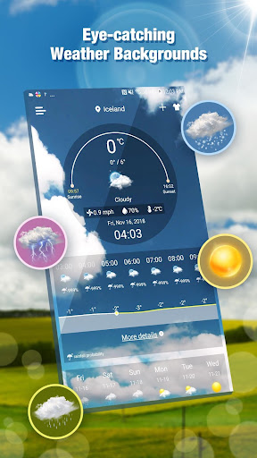 Daily Live Weather Forecast App