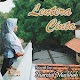 Download Novel Lentera Cinta For PC Windows and Mac 1