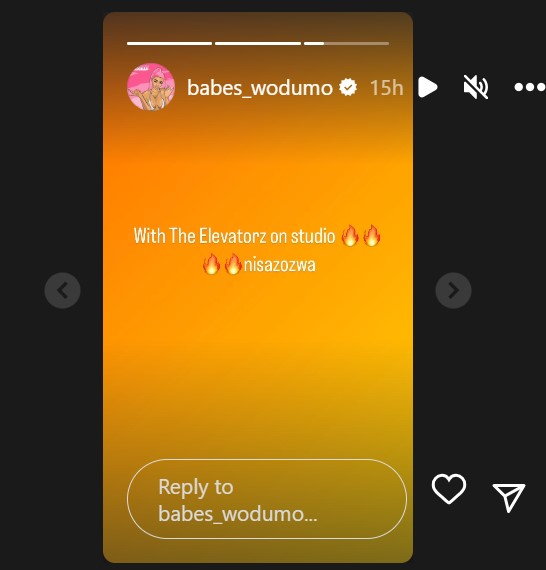 Screenshot taken from Babes Wodumo's Instagram stories