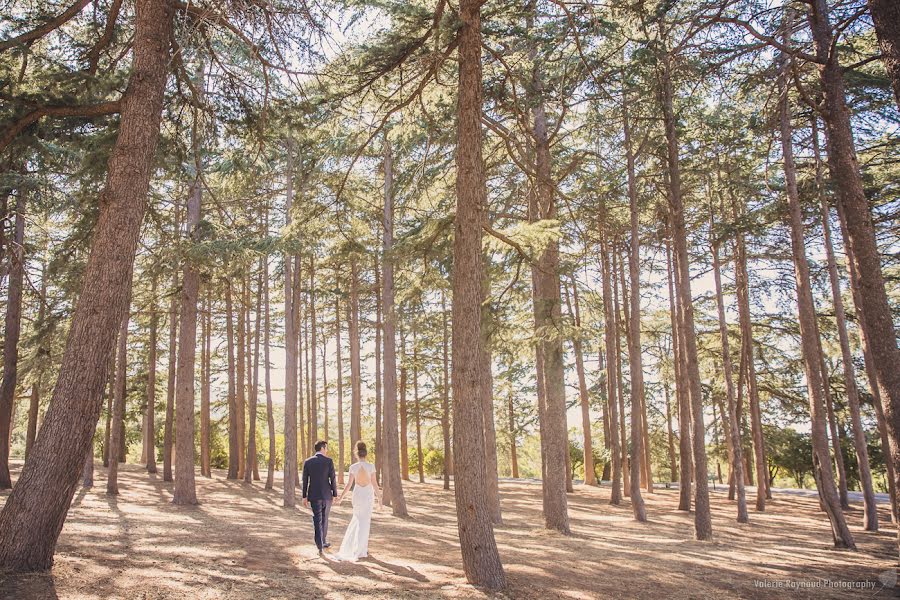 Wedding photographer Valerie Raynaud (valerieraynaud). Photo of 4 September 2017