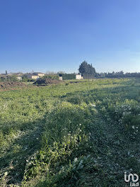 terrain à L'Isle-sur-la-Sorgue (84)