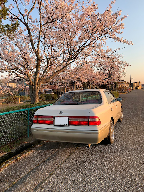 の投稿画像8枚目