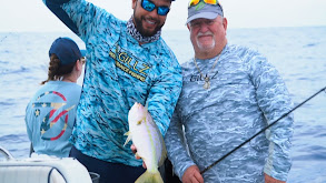 Reef & Wreck Fishing For Yellowtail Snapper & Cast Net Throwing thumbnail