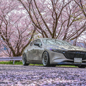 MAZDA3 BP8P