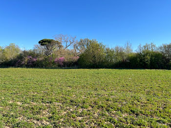 terrain à Labastide-d'Anjou (11)