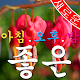 Download 좋은 아침, 늦은 밤 For PC Windows and Mac 4.0