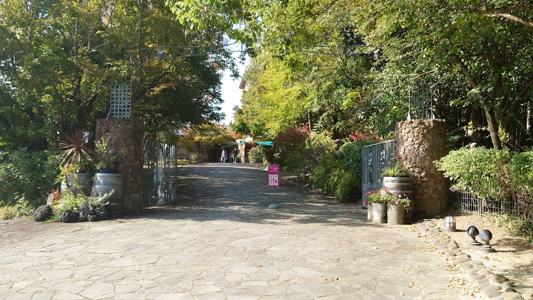 カローラスポーツのぶらり一人ドライブ・宇佐市安心院に関するカスタム事例の投稿画像6枚目