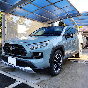 RAV4 MXAA54