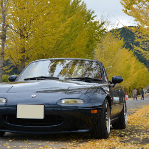 ロードスター NA8C