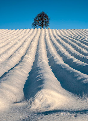 Prospettiva invernale di Livius