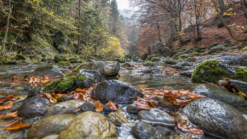 Stones di Mauro Rossi