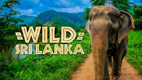 Wild Sri Lanka thumbnail