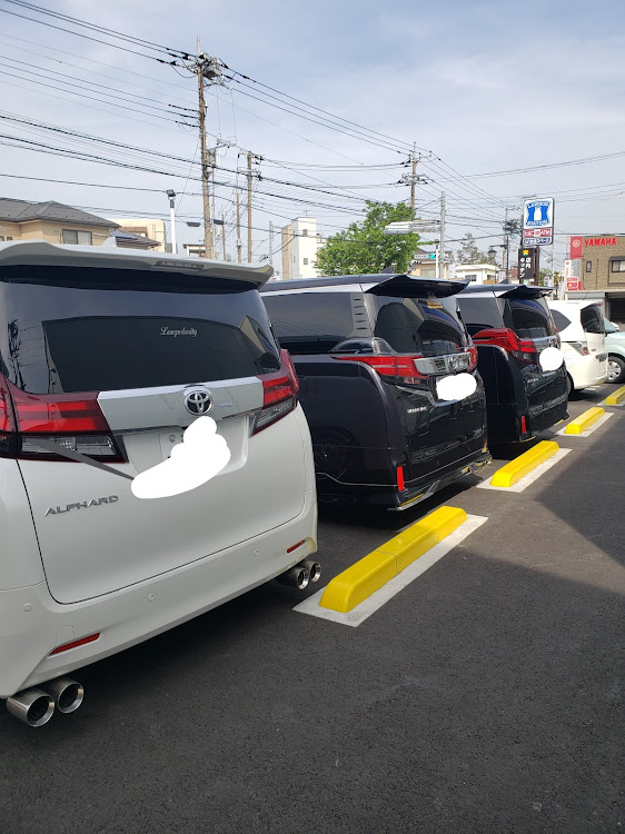アルファードのホイール交換・車高調取付・ご馳走さまでした・workに関するカスタム事例の投稿画像3枚目
