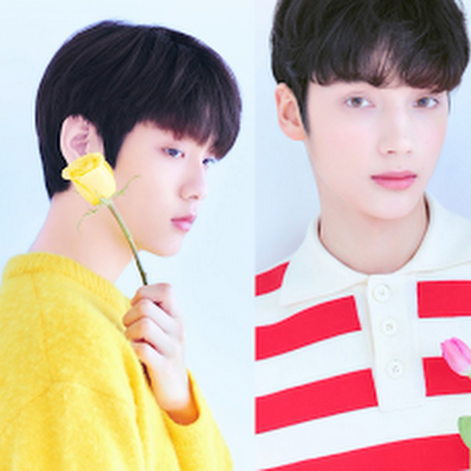 These Milestones Prove That TXT Will Be The Most Popular Group At Debut Ever