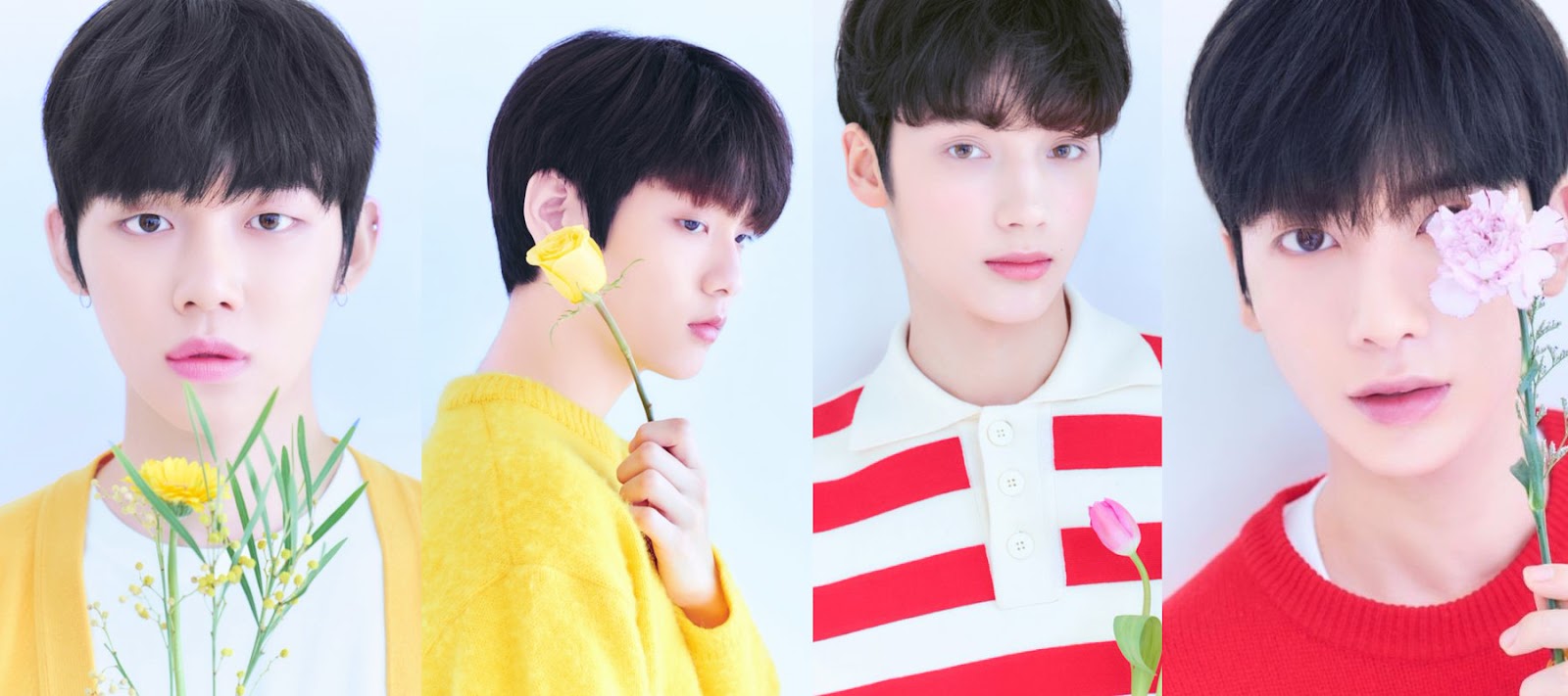 TXT4Members