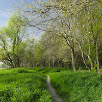 Passeggiando con la brezza nel verde di 