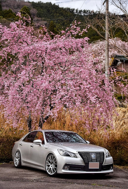 クラウンロイヤルの2023ベストショット3月に関するカスタム事例の投稿画像1枚目